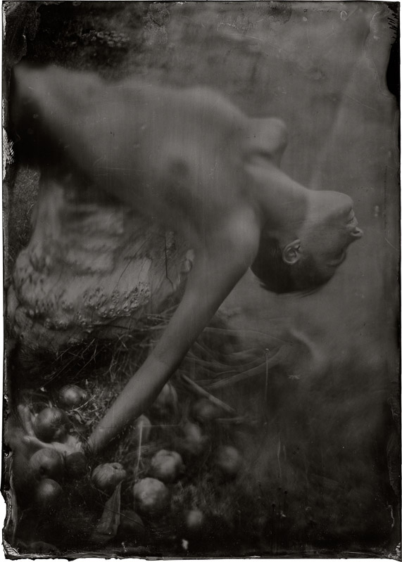 15_James Wigger_Ashes