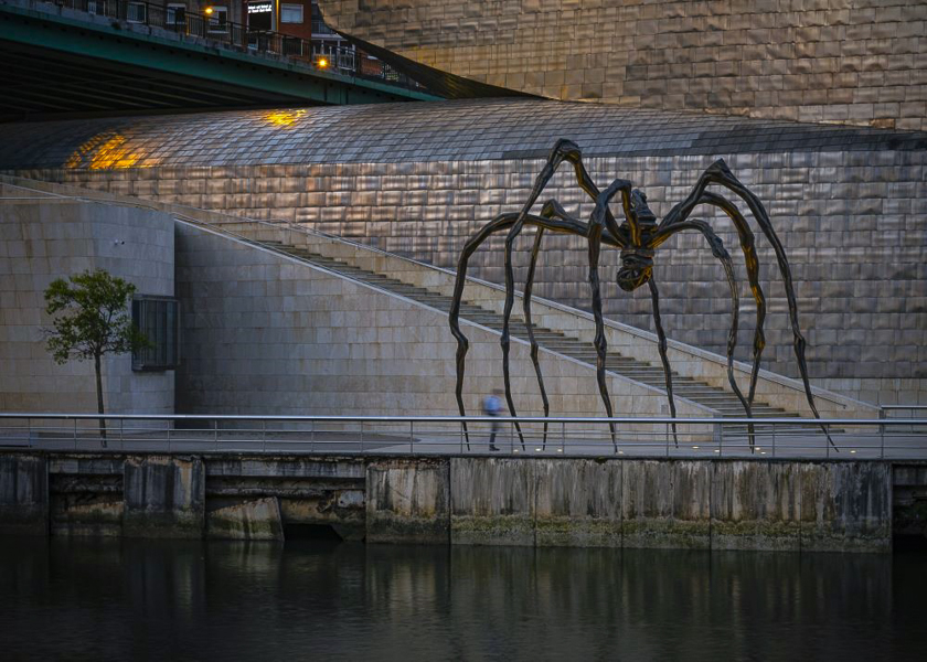 Bryan Andresen •
Maman the spider, Bilbao, Spain 2022