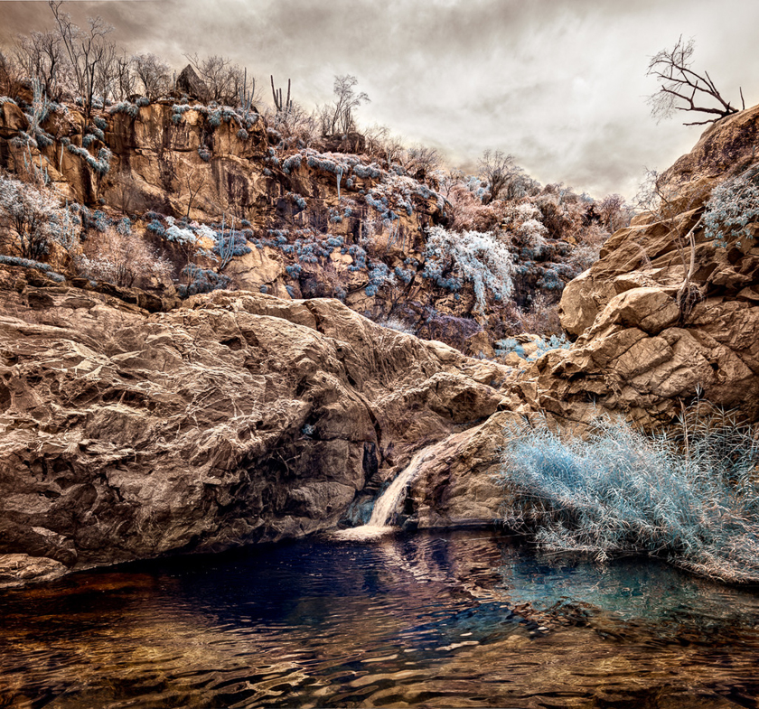 David Simone •
Dreaming in Color