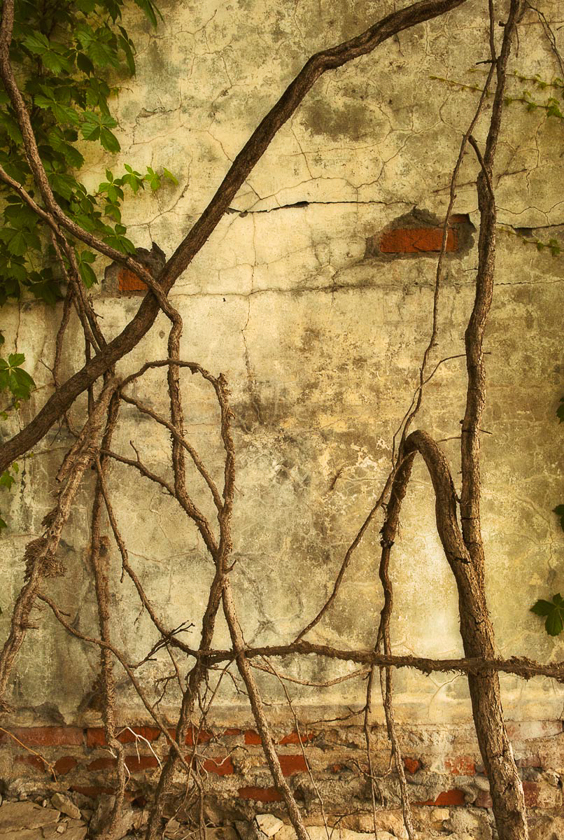 Ron Shufflebarger •
Elder Wall,