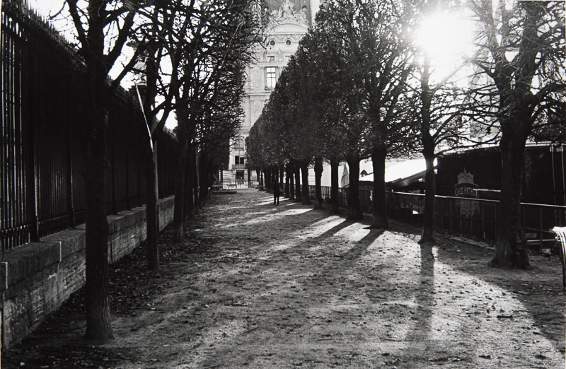 ParisonFilm-20