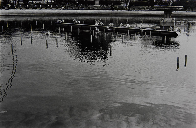 ParisonFilm-24