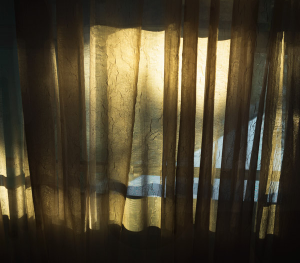 Philip Bowser • Window Light