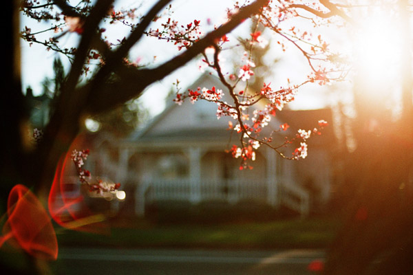 Wendi Andrews • Morning Walk