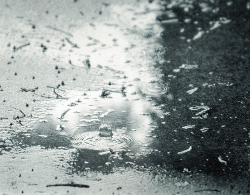 Sharon Asplan • Puddle with Rain Drop • Seven Mile, Ohio