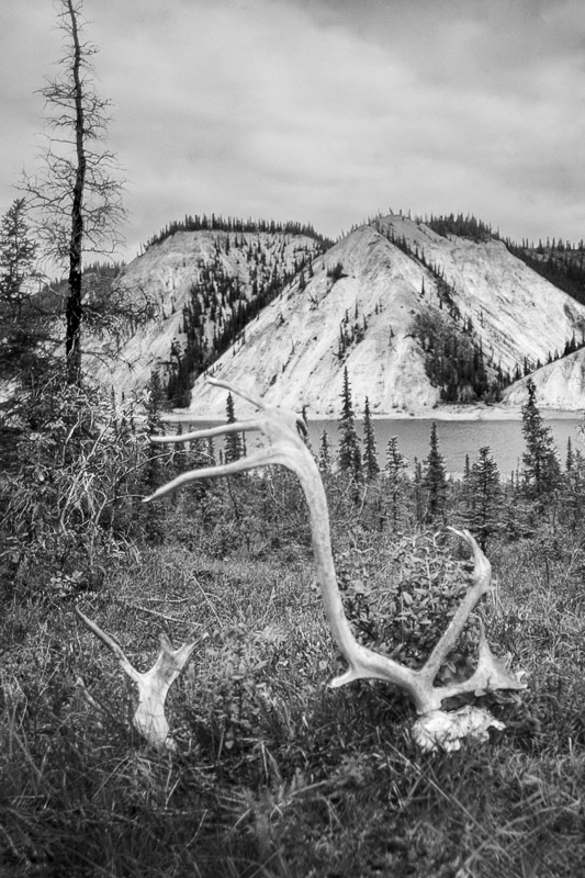 16-Porcupine River 2