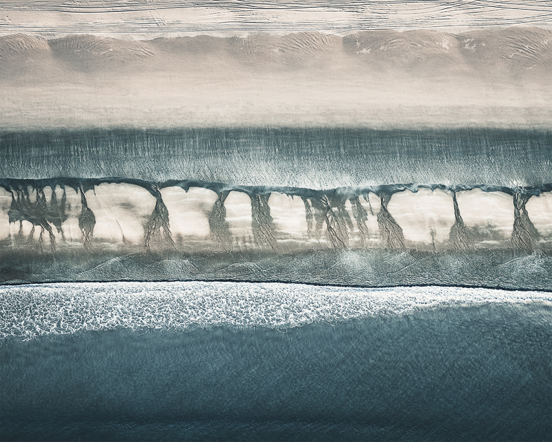 Brigitte Bourger • Roots XV