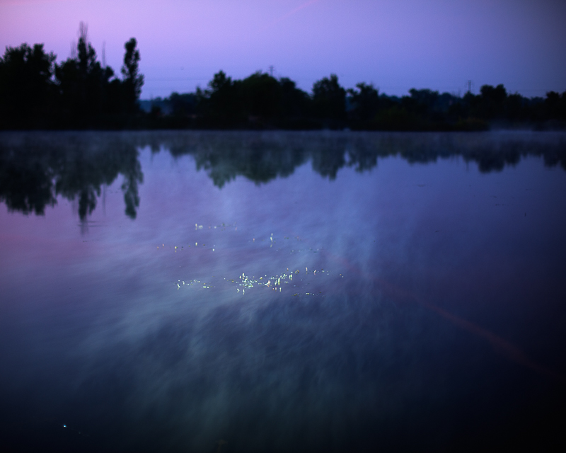 Moshie Lettvin • Sawhill Ponds