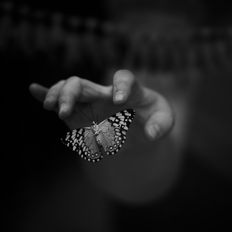 Sharon Kain • Variable Cracker