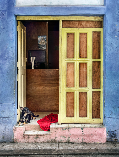 Jody Miller • Dog in Doorway