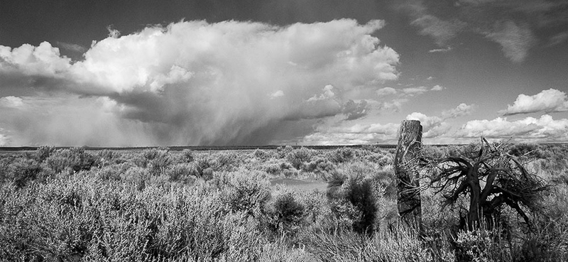 Rich Bergeman • Juniper Post and Storm Cloud