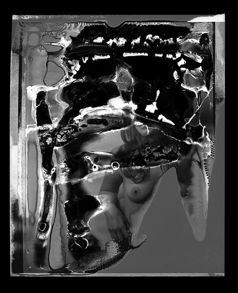 Ross Morrison - Los Angeles, Ca • 
Decomposition - Figure 2 • 
C –Print •
$300
