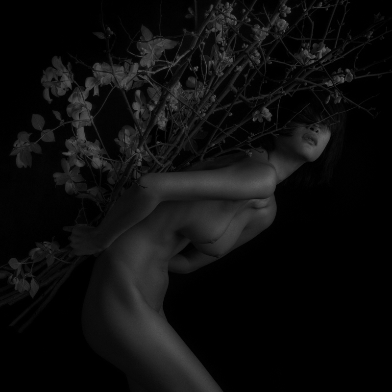 Barbara Hazen • Mill Valley, Ca. • Juror's Honorable Mention • Nude with Dogwood