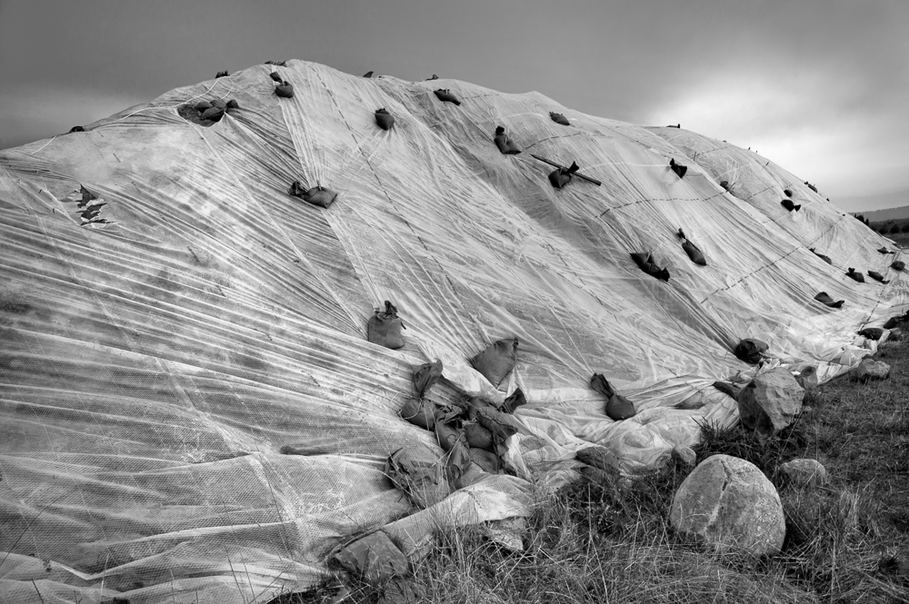 Loren Nelson •
Glacial Erratic I