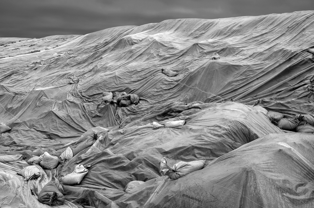 Loren Nelson •
Ice Field; Tile Flat Range