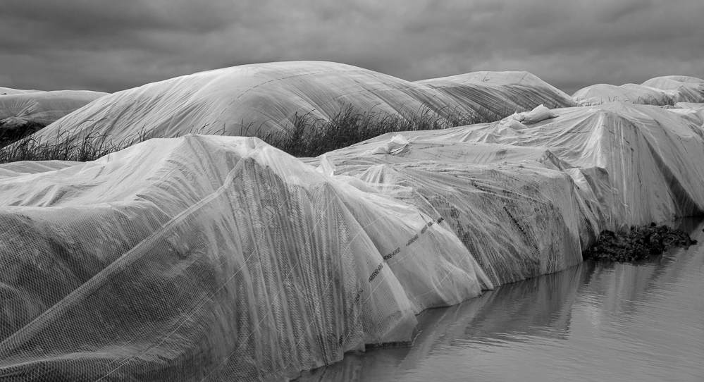 Loren Nelson •
Proglacial Lake