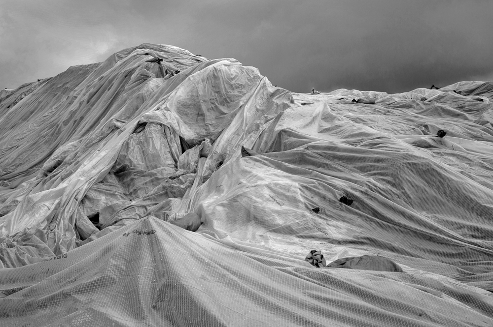 Loren Nelson •
Tile Flat Glacier III