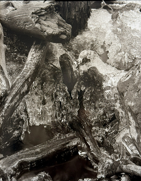 Jim Fitzgerald • Bridalveil Creek Log Jam