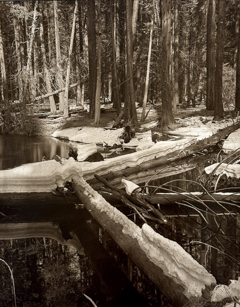 Jim Fitzgerald • Yosemite Creek, Winter