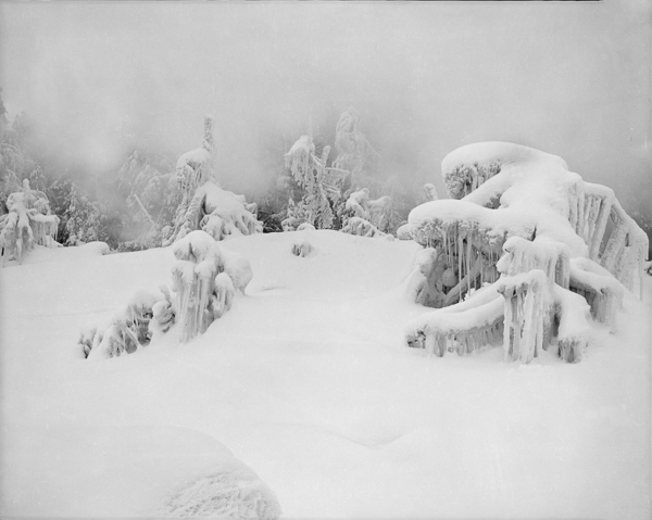Terry Thompson • Yellowstone, Upper North Basin