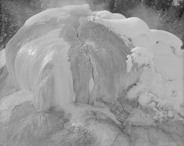 Terry Thompson • Yellowstone, Winter Form