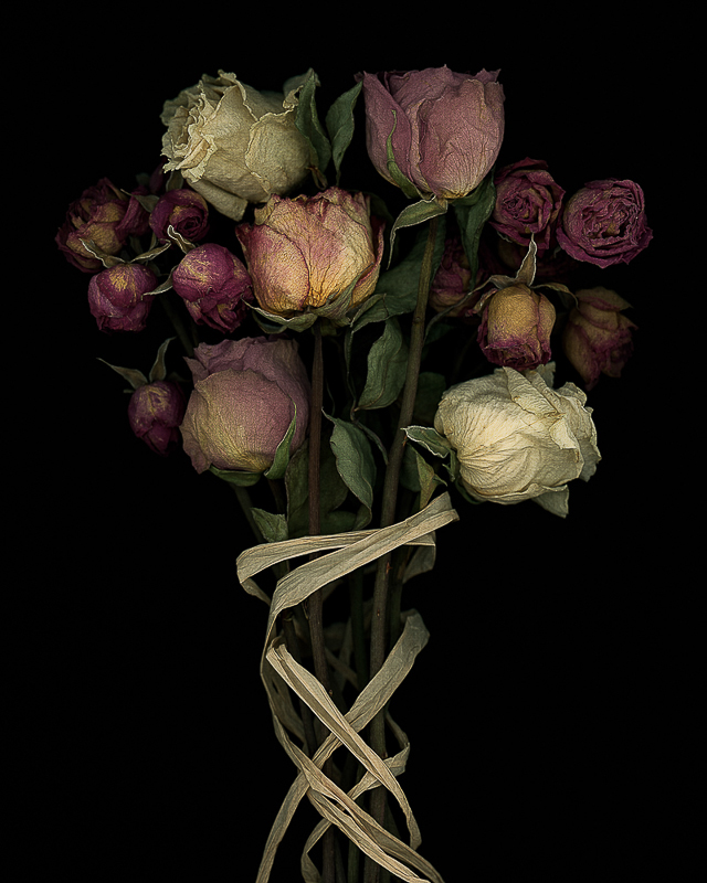 243 - Pat Rose • Still Life with Roses Raffia