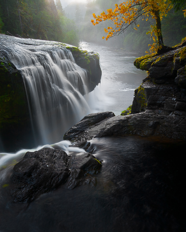 56 - David White • Lower Lewis River falls