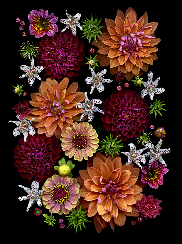 Fretta Cravens • Flower Composition 42