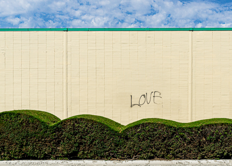 Martha Clarkson • Writing on the Wall