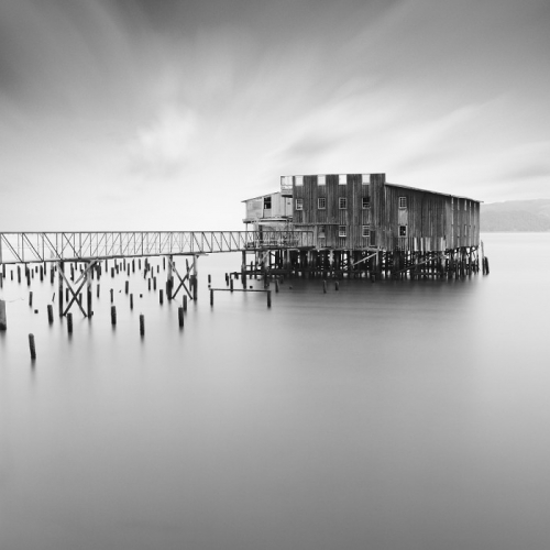 CANNERY PIER, 2010
