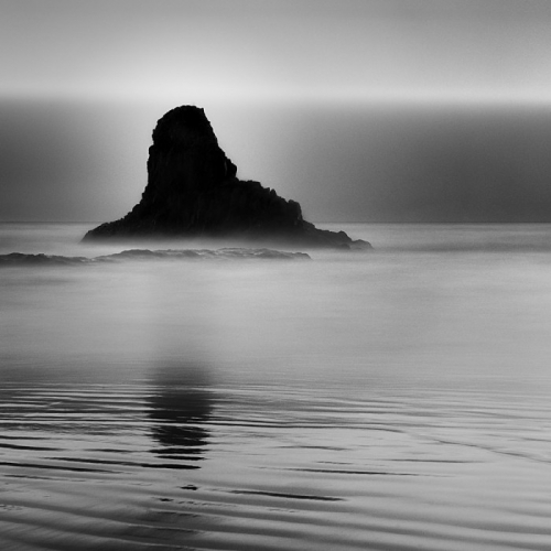 RENACIMIENTO, 2010