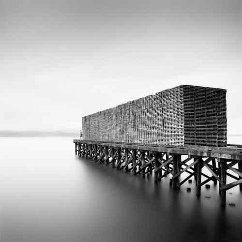 TARIMAS, 2010