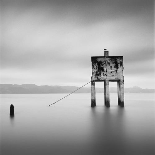 TENSION B, 2010