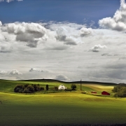 Pastoral